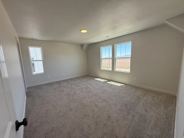 Spacious room featuring neutral carpeting, three windows, light-toned wall paint, and a recessed ceiling light fixture