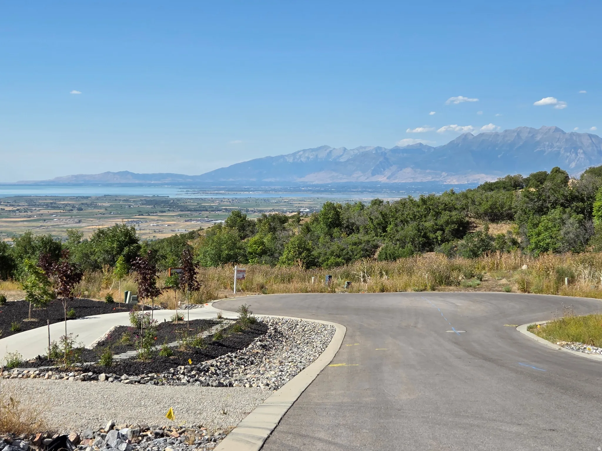 Paved road with curbing, a gravel shoulder, and young trees