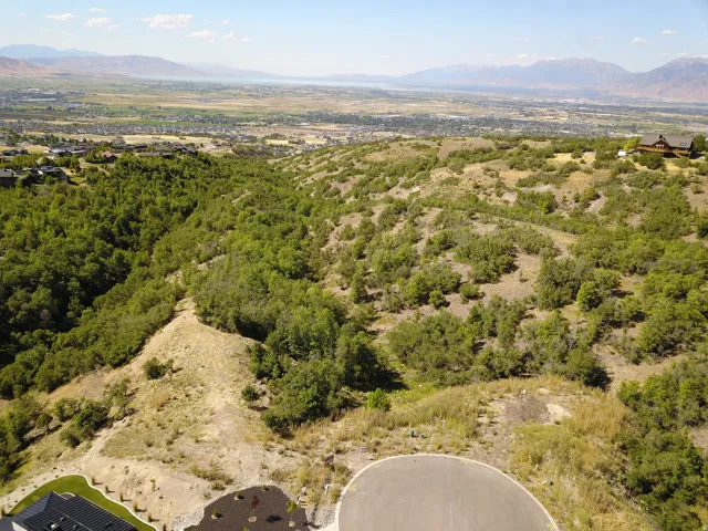 Rolling terrain with extensive natural vegetation, featuring distant urban and mountainous landscapes