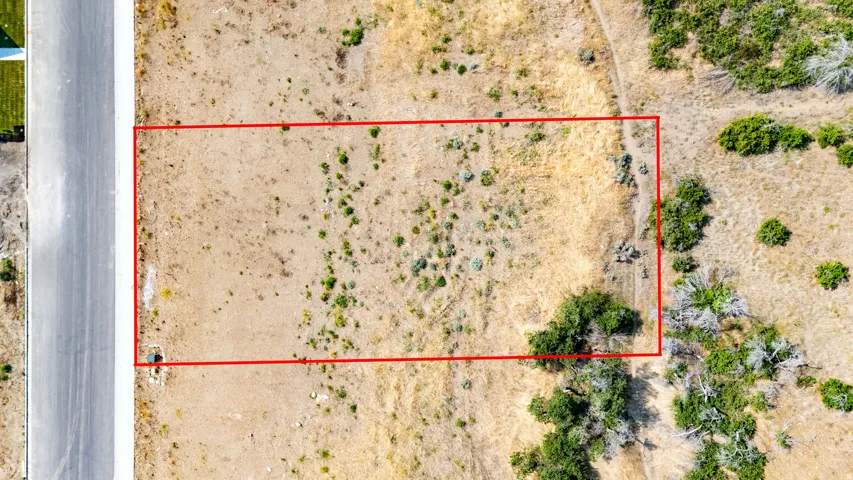 Expansive undeveloped lot featuring natural landscaping and direct road frontage