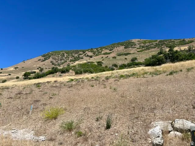 Expansive hillside property featuring natural landscaping, varying terrain, and scattered brush