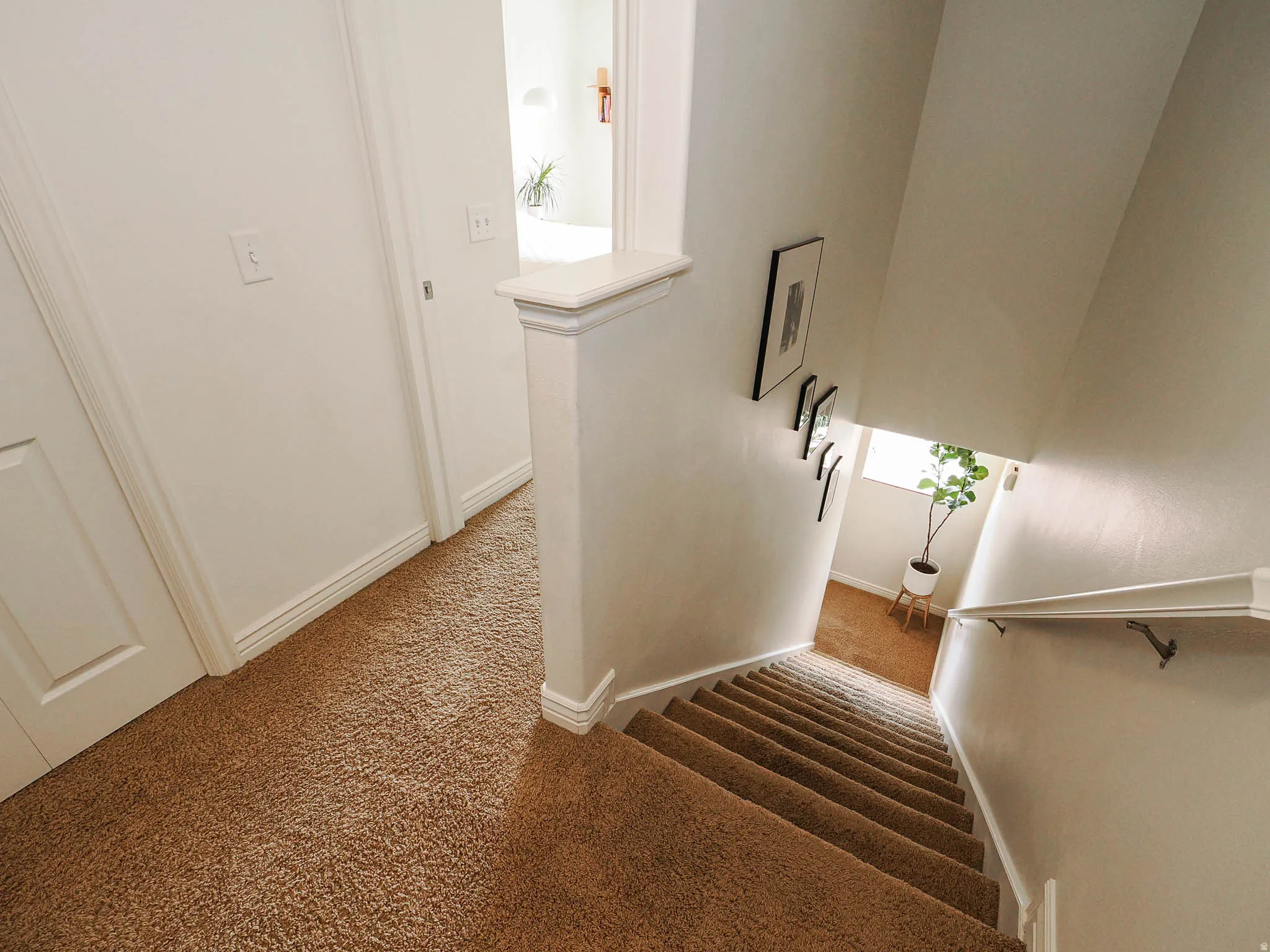 Carpeted staircase with white handrail and white wall finishes