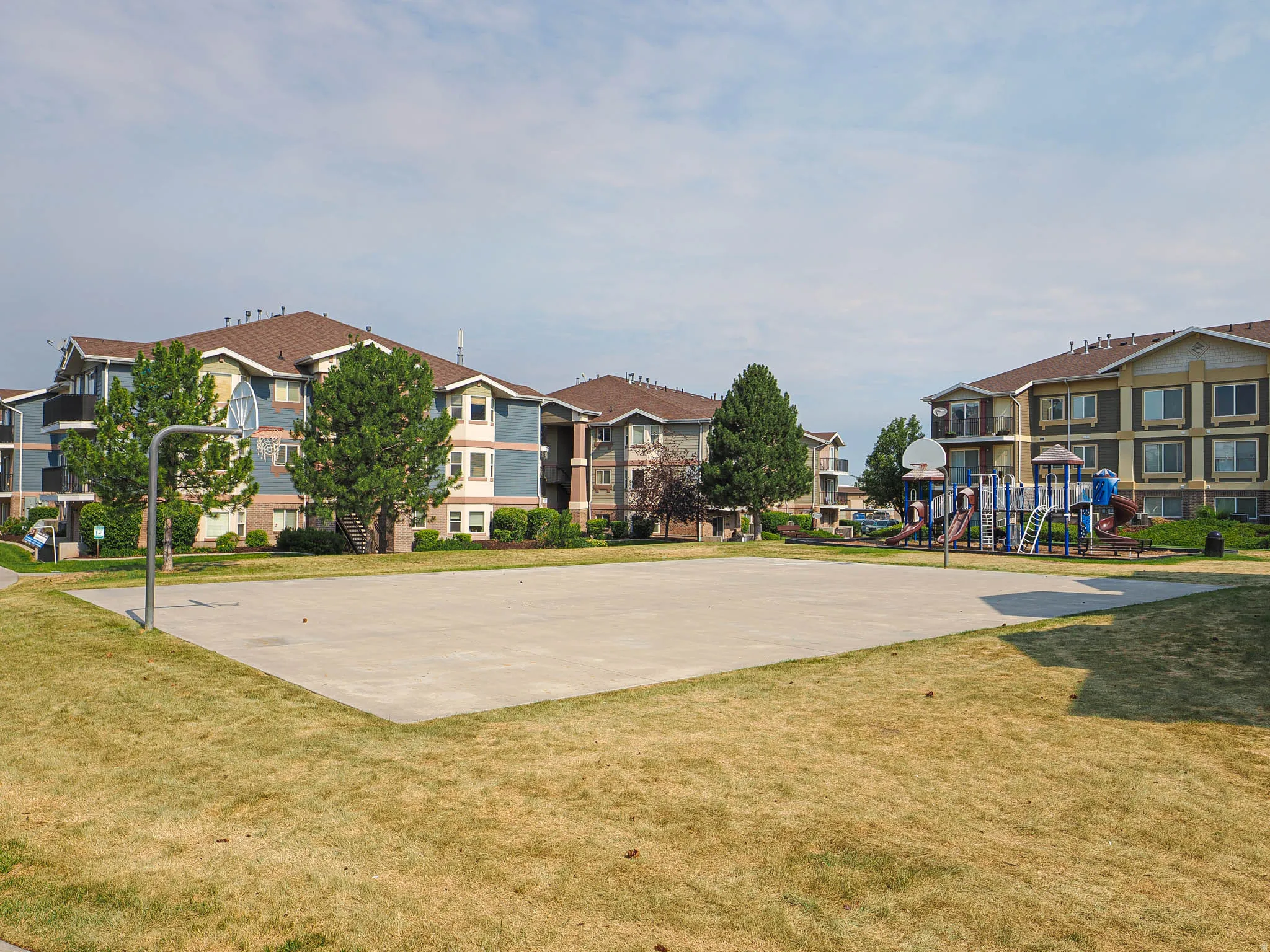 Expansive concrete court with basketball hoop, bordered by green space