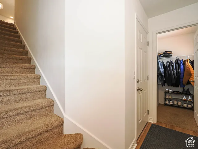 Carpeted staircase with white risers