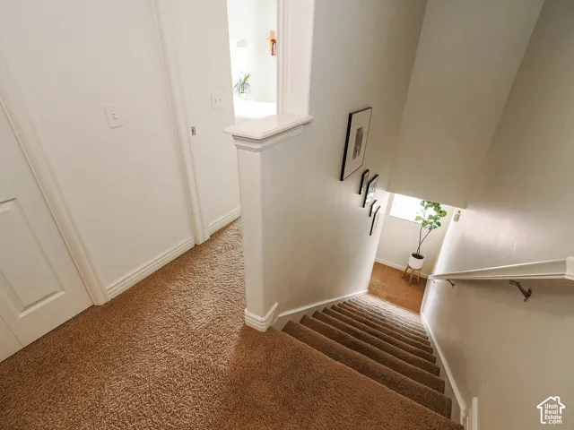 Carpeted staircase with white handrail and white wall finishes