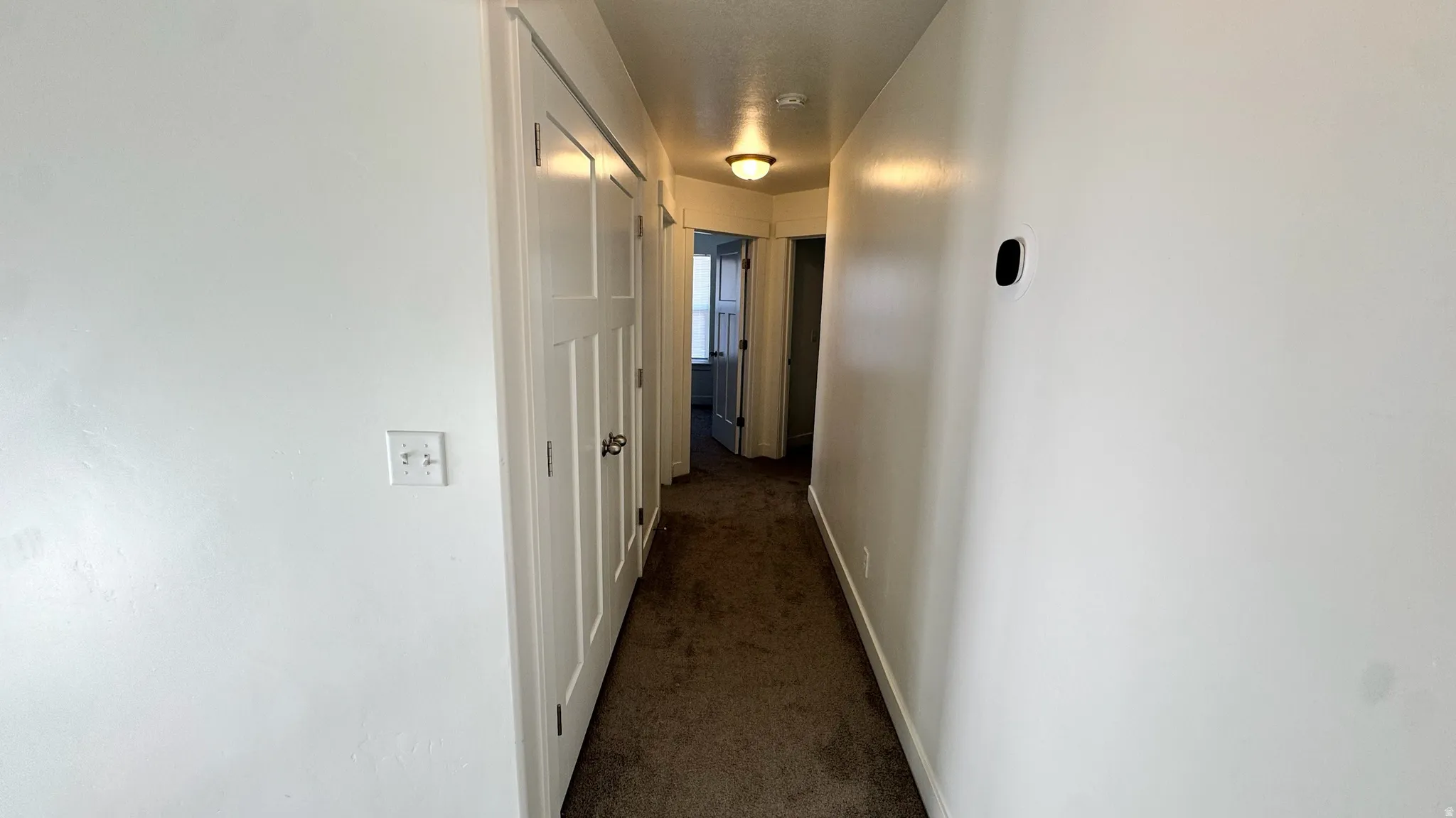 Carpeted hallway featuring white walls, three-panel doors, and an overhead light fixture