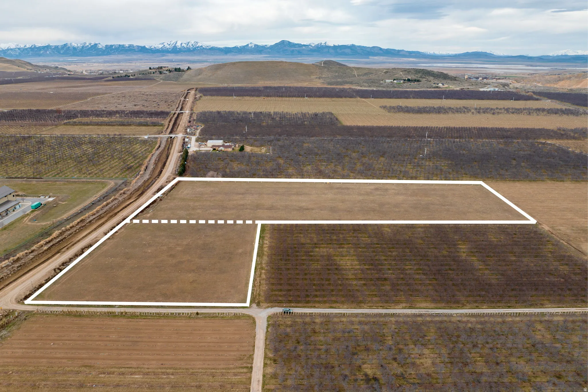 Expansive undeveloped land parcel with marked boundaries