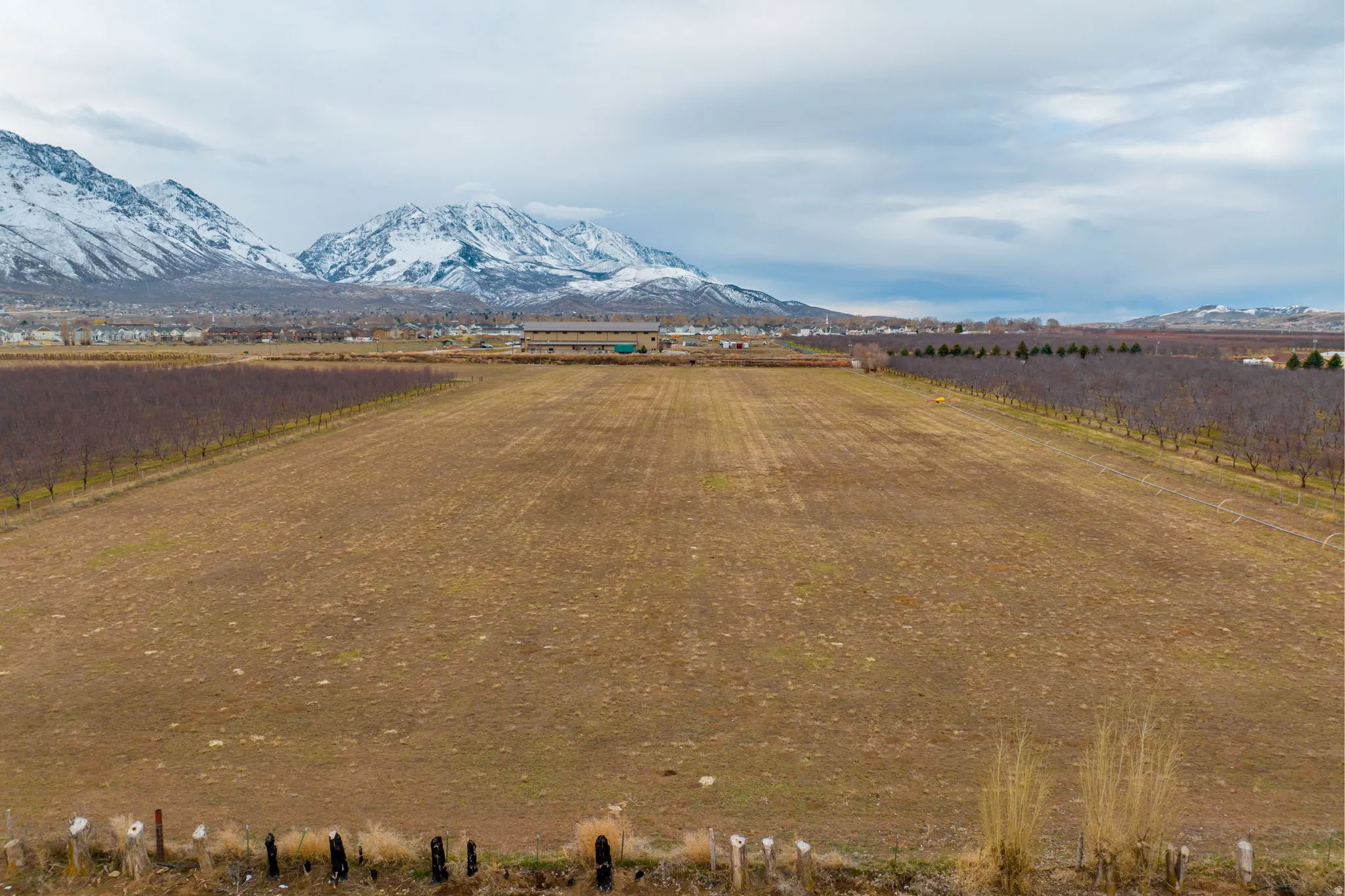 Expansive agricultural land featuring a tilled field, mature trees bordering the property, and distant snow-capped mountains