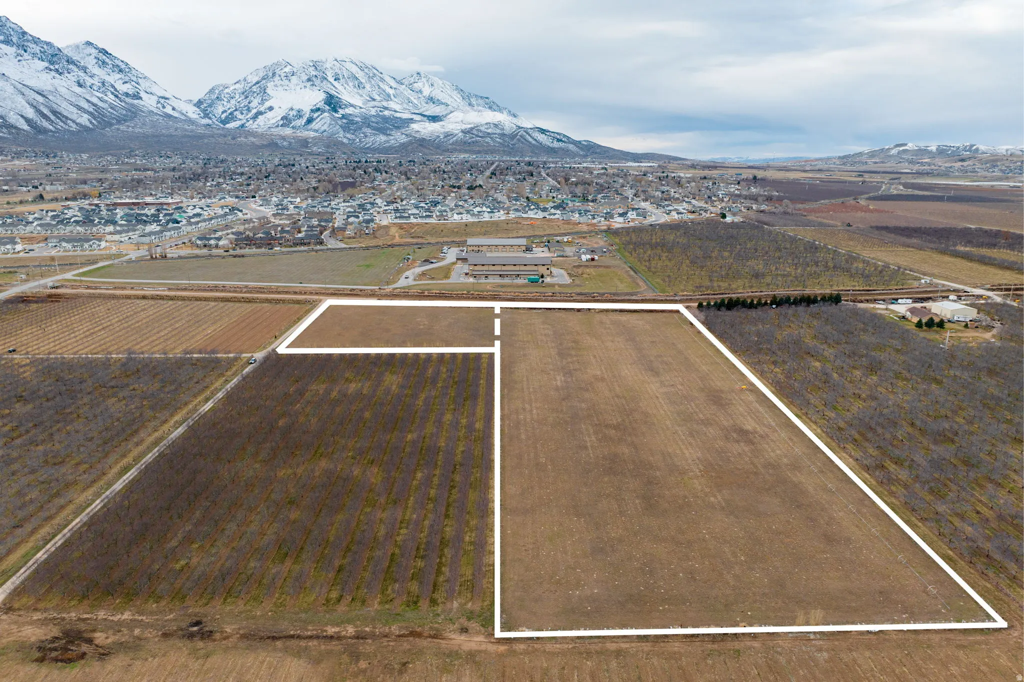 Expansive agricultural land featuring delineated parcels, a cultivated field, and rows of dormant trees