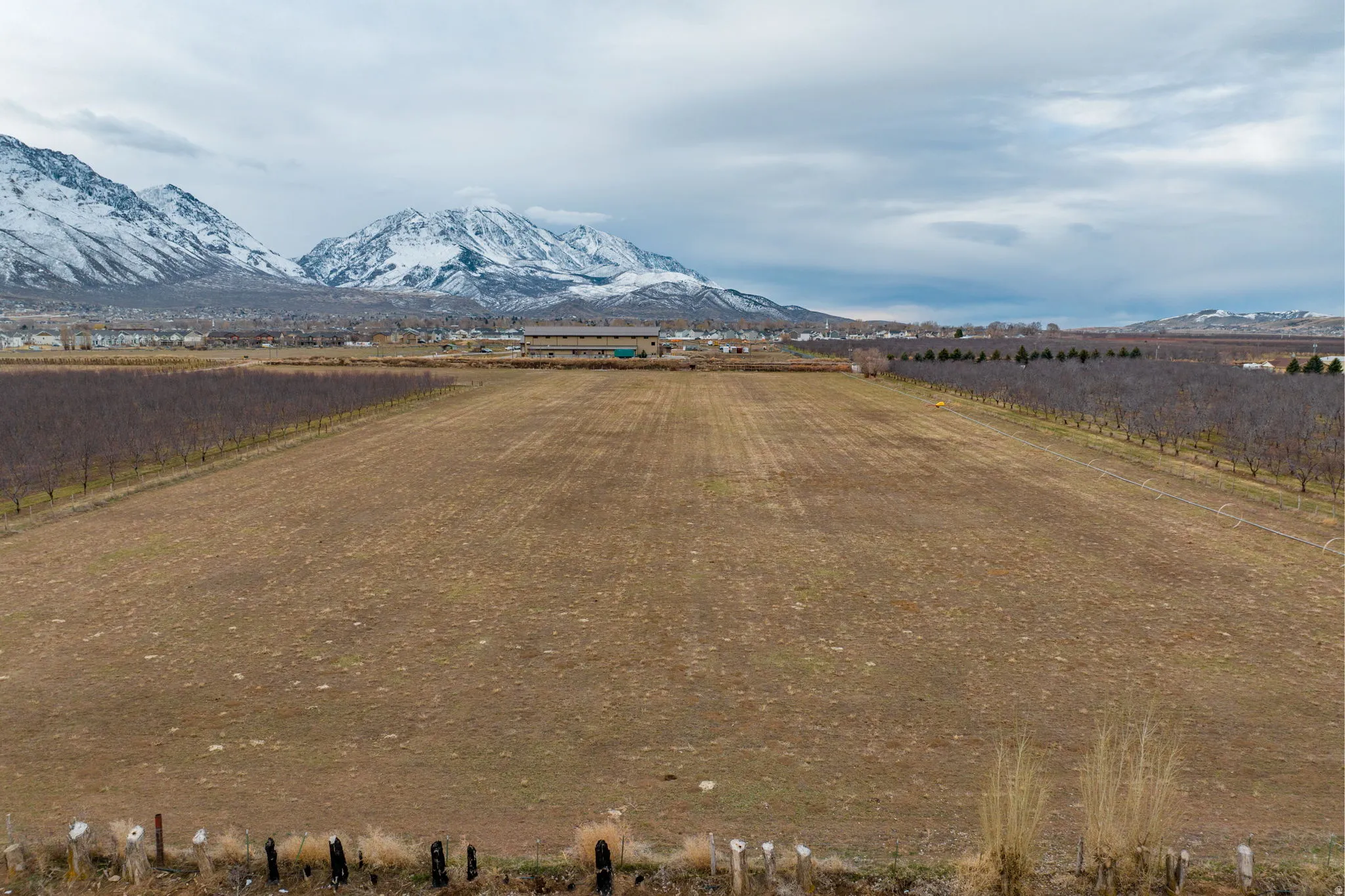 Expansive undeveloped land featuring a cleared field and rows of trees