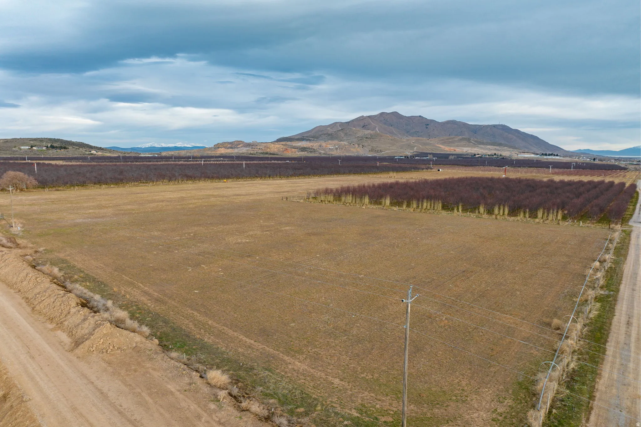 Expansive undeveloped land with a dirt road, bordering cultivated rows of trees, and distant mountains