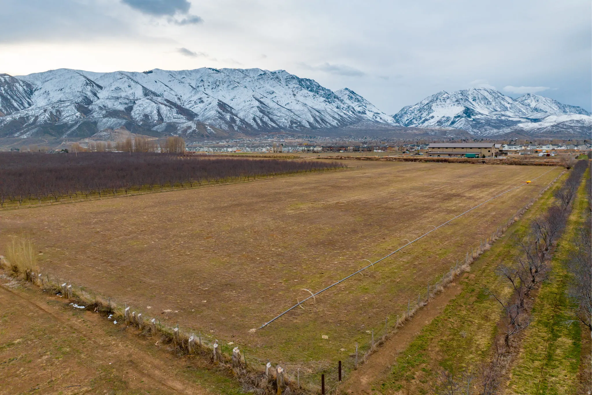 Expansive land parcel featuring agricultural fields, established tree lines, and a backdrop of snow-capped mountains