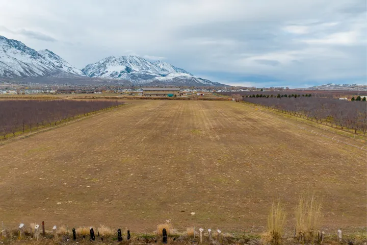 Expansive agricultural land featuring a tilled field, mature trees bordering the property, and distant snow-capped mountains