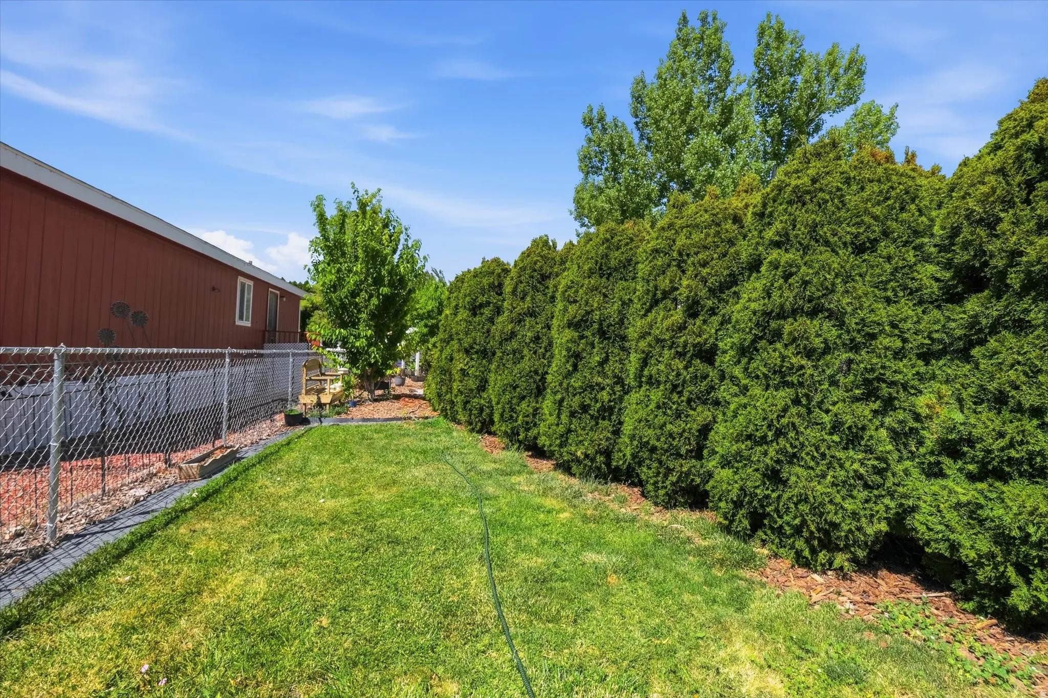 Expansive green lawn bordered by a tall, dense evergreen hedge and a chain-link fence