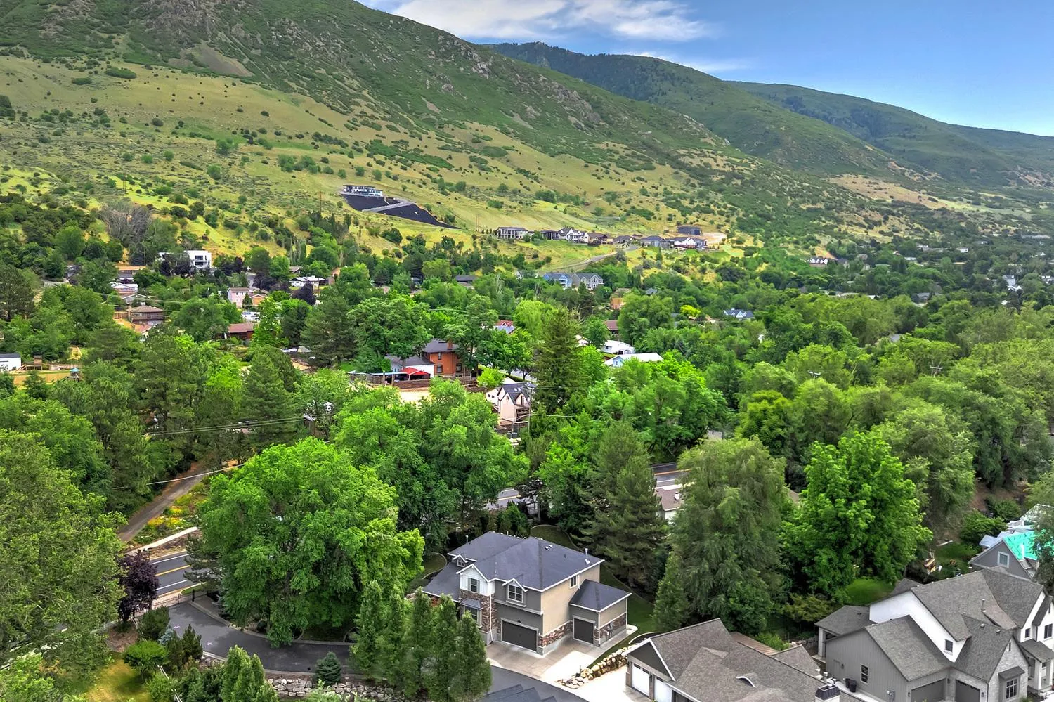 Mountainous landscape with abundant mature trees and residential properties