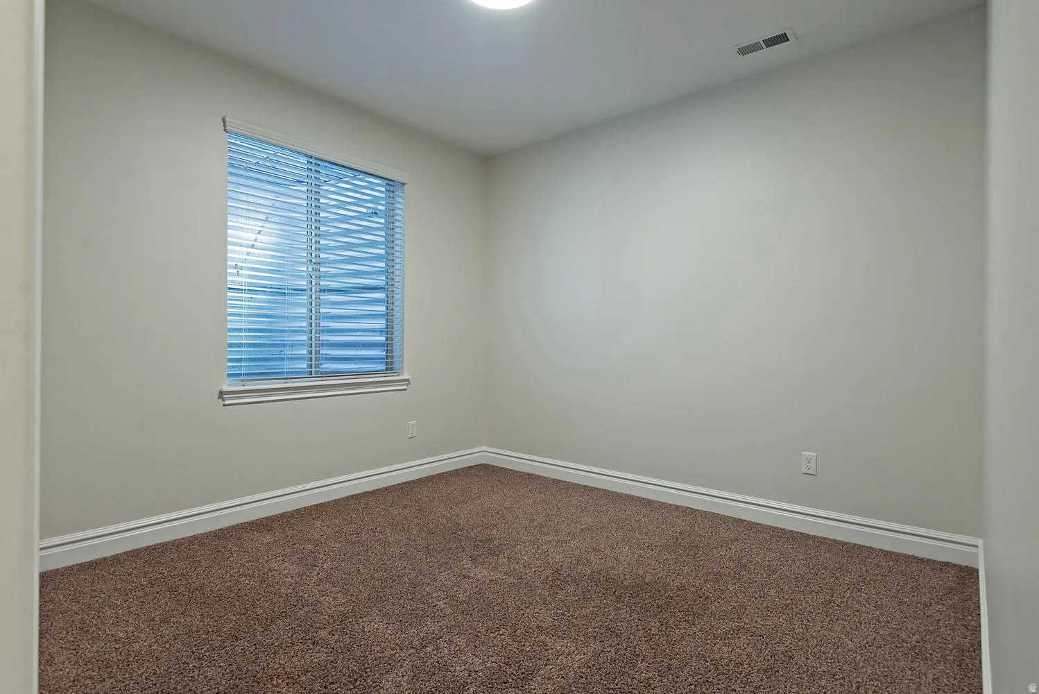 Room featuring a window with blinds, brown carpet, light-colored walls, white trim, and a ceiling-mounted light fixture