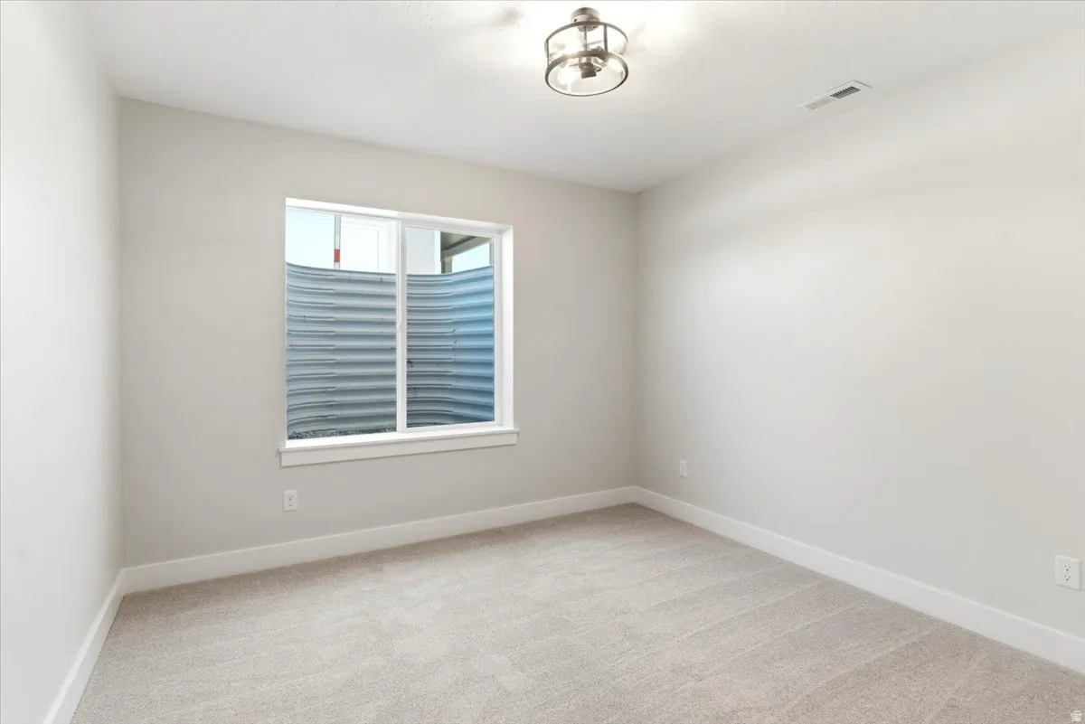 Basement bedroom with walk-in closet