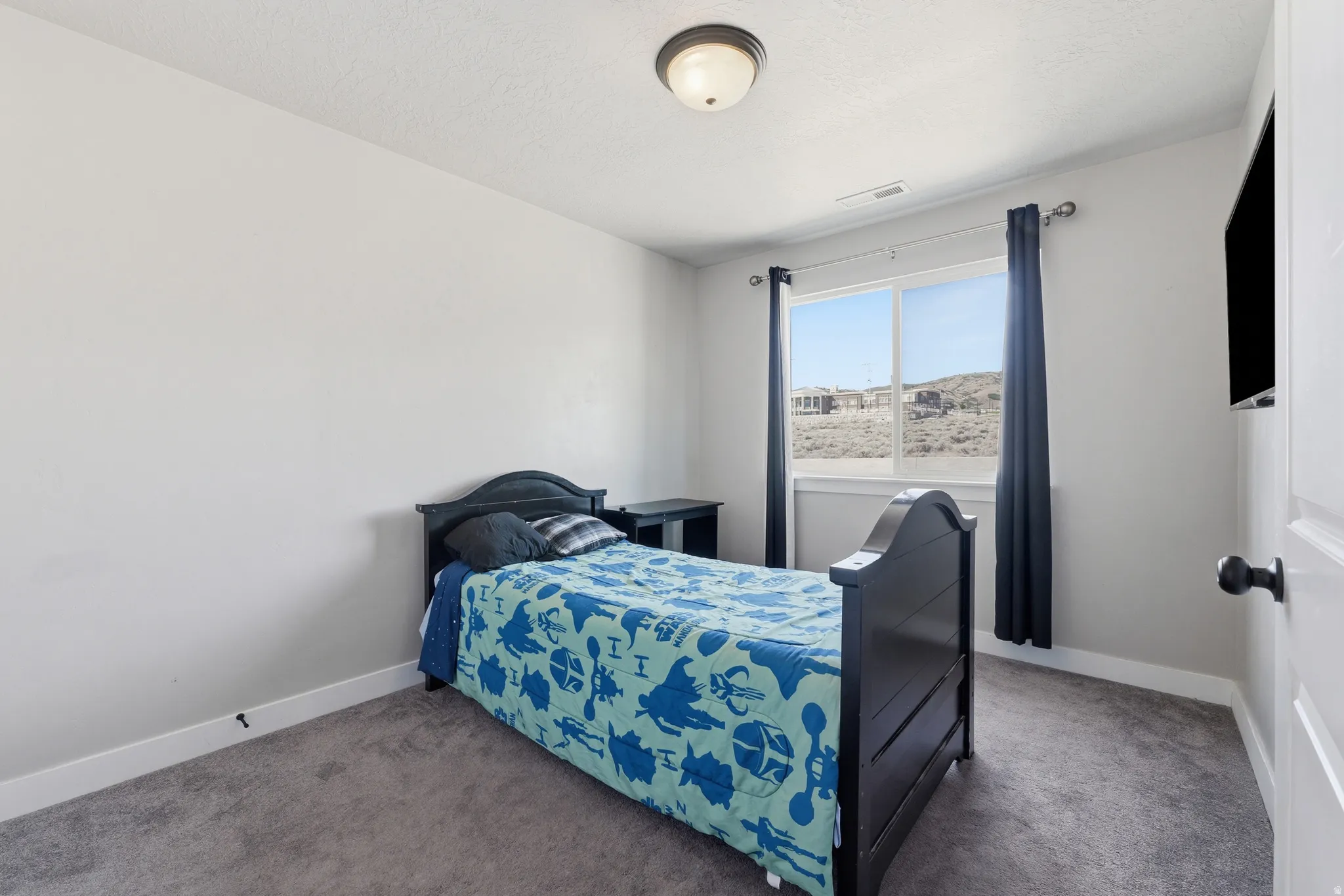 Bedroom featuring neutral wall paint, gray carpet flooring, a single window with dark drapery, and a ceiling-mounted light fixture