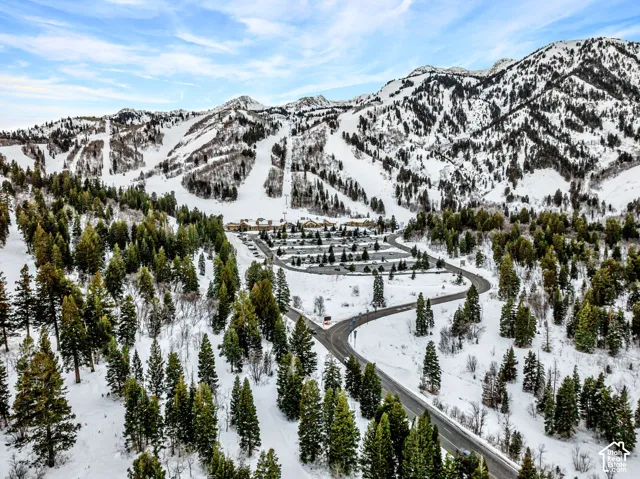 Snow-covered mountain landscape featuring evergreen trees and a winding paved road