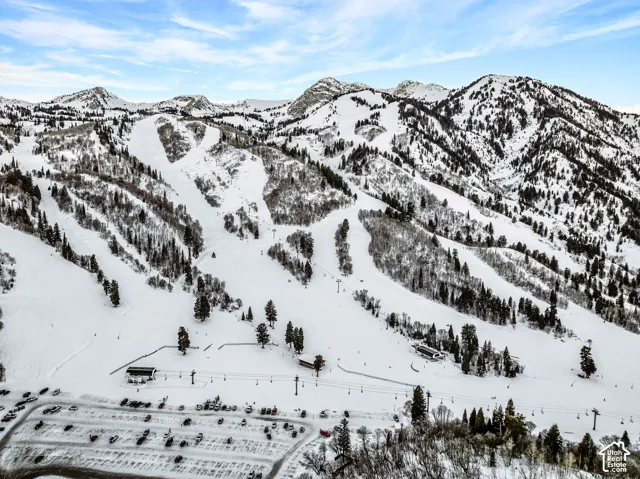 Snow-covered mountain ski terrain featuring multiple ski runs, dense evergreen tree coverage, and ski lift infrastructure