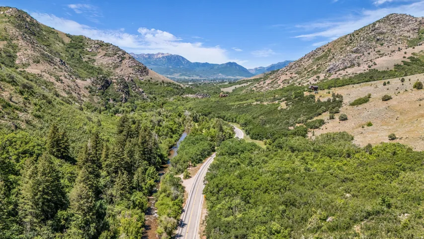 Mountainous terrain featuring extensive green foliage and a winding road