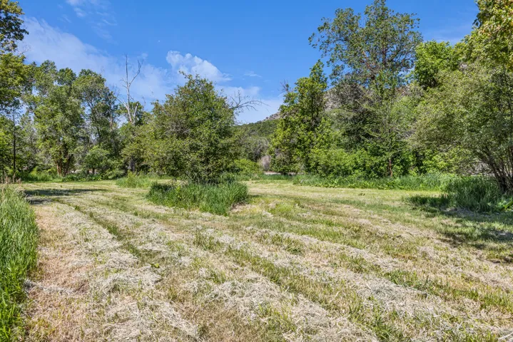 Expansive cleared area bordered by mature trees and natural vegetation