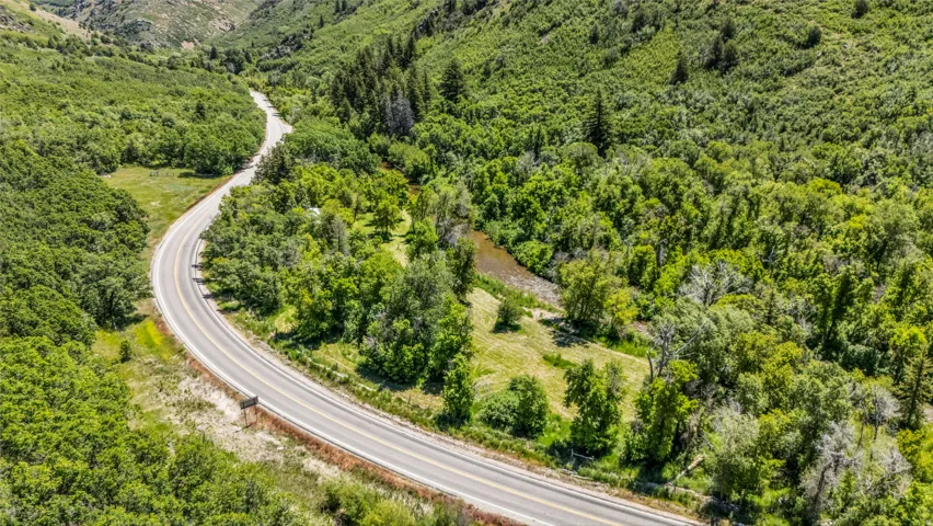 Winding paved road traversing a verdant, mountainous landscape with abundant mature trees and natural vegetation