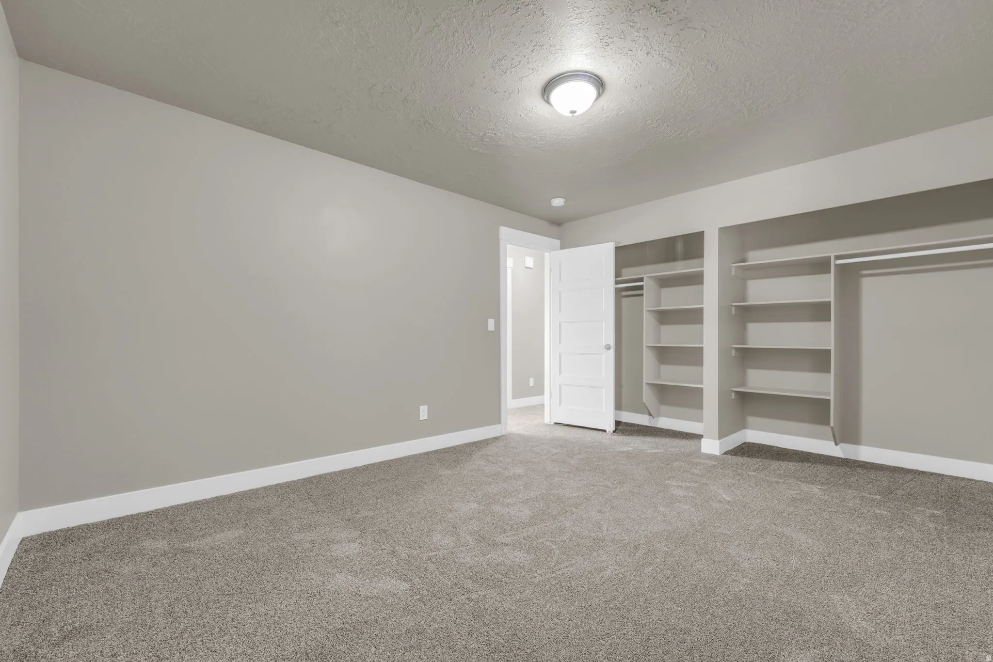 Carpeted room featuring light gray walls, white trim, a flush mount ceiling light, and built-in shelving with hanging rods