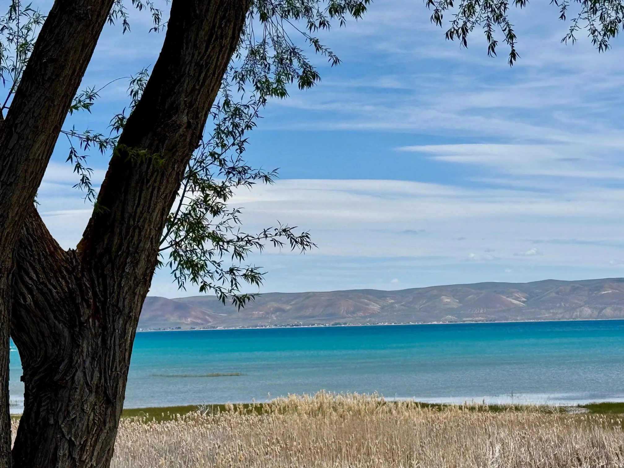 Expansive water frontage with a vibrant turquoise hue