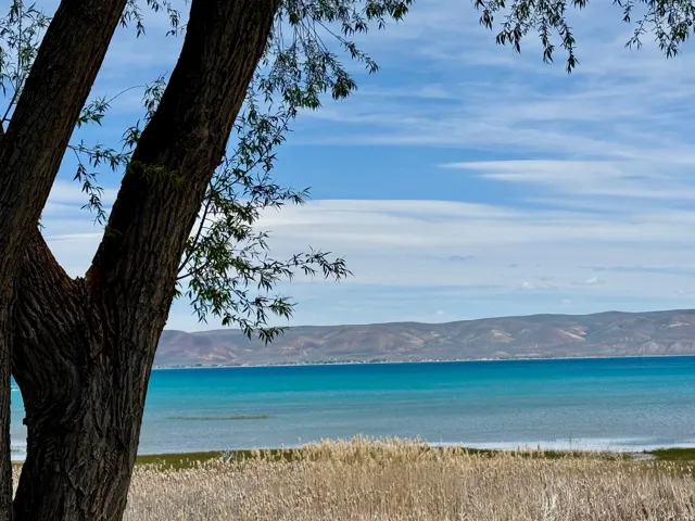 Expansive water frontage with a vibrant turquoise hue