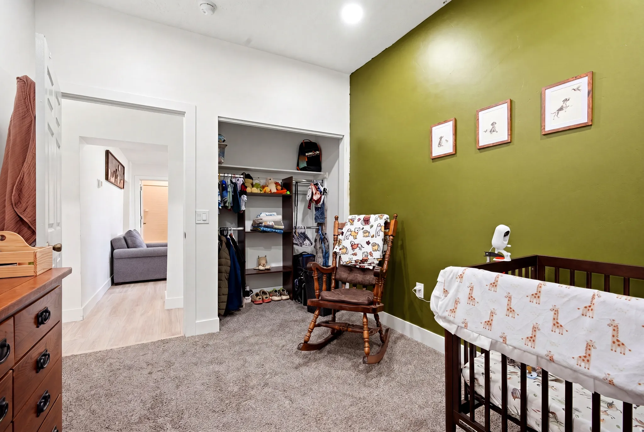 Carpeted room featuring a distinctive olive accent wall