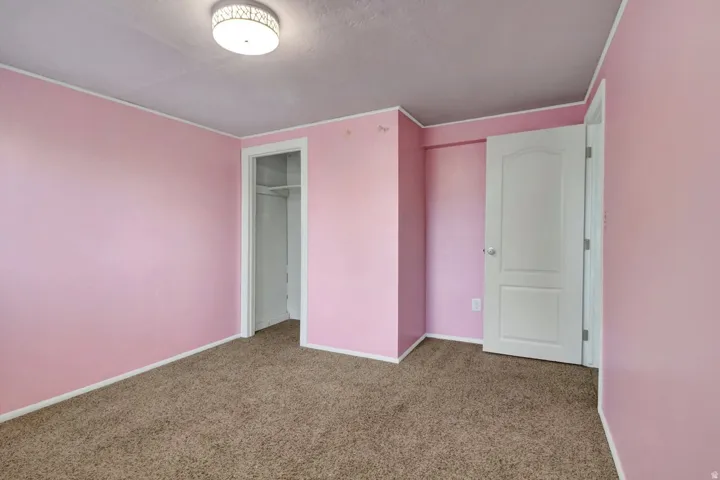 Basement bedroom - Carpeted room featuring a ceiling-mounted light fixture, an open closet, and a white paneled door.