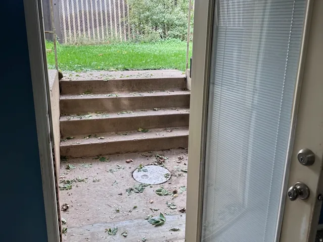 Glass panel door with integrated blinds, concrete steps, and a fenced-in yard with mature trees