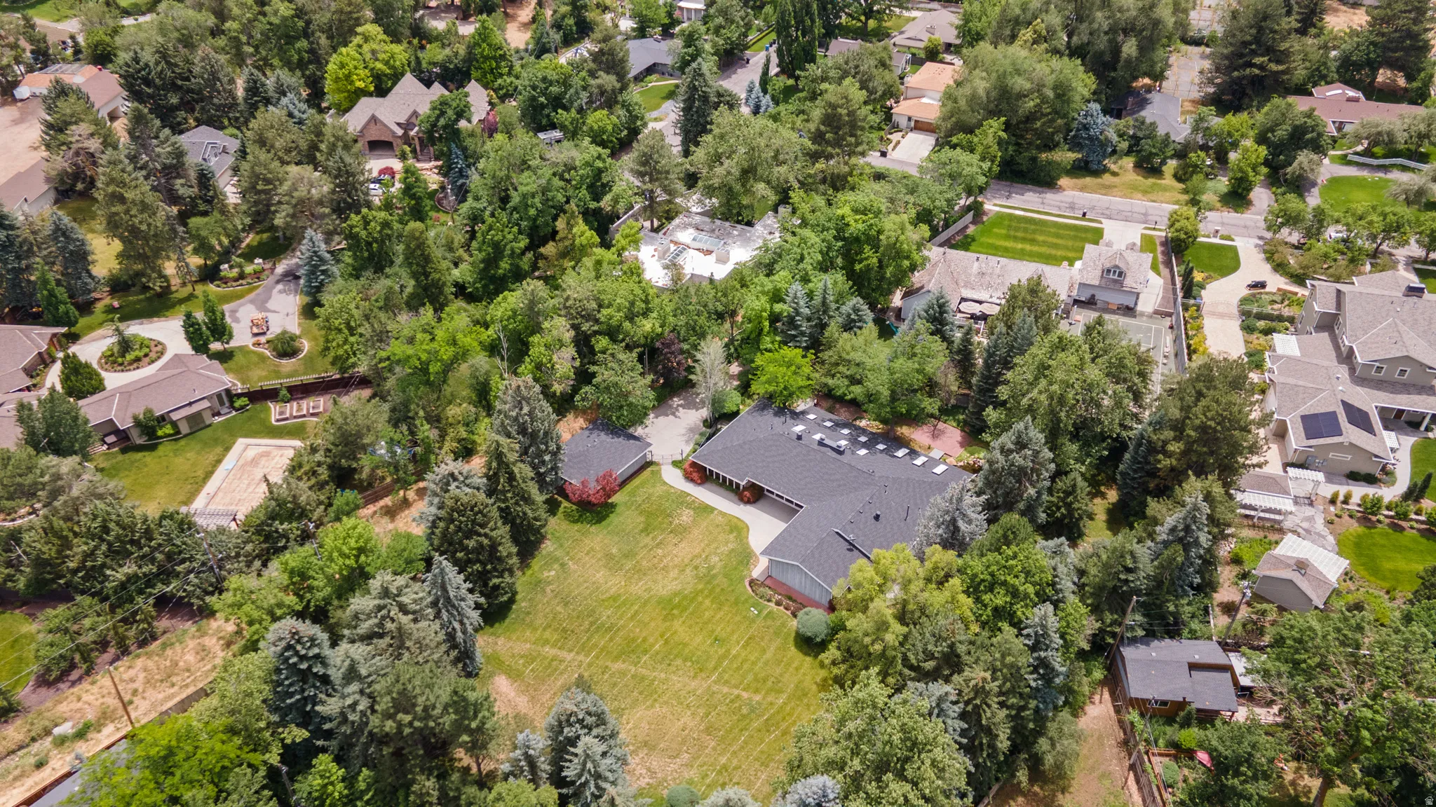 Aerial view