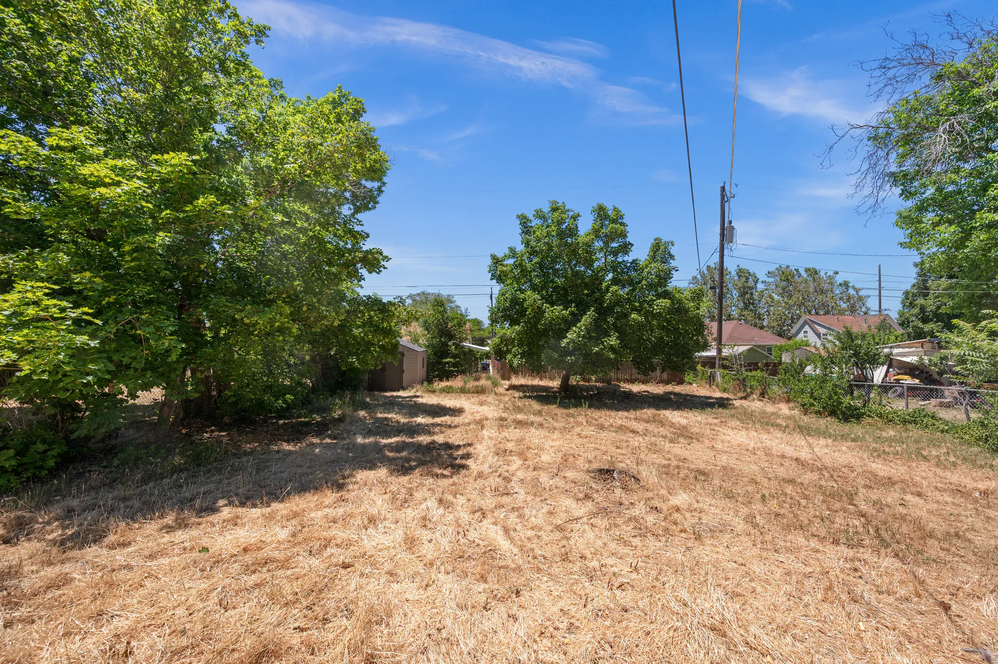 Expansive lot featuring mature trees and a detached shed