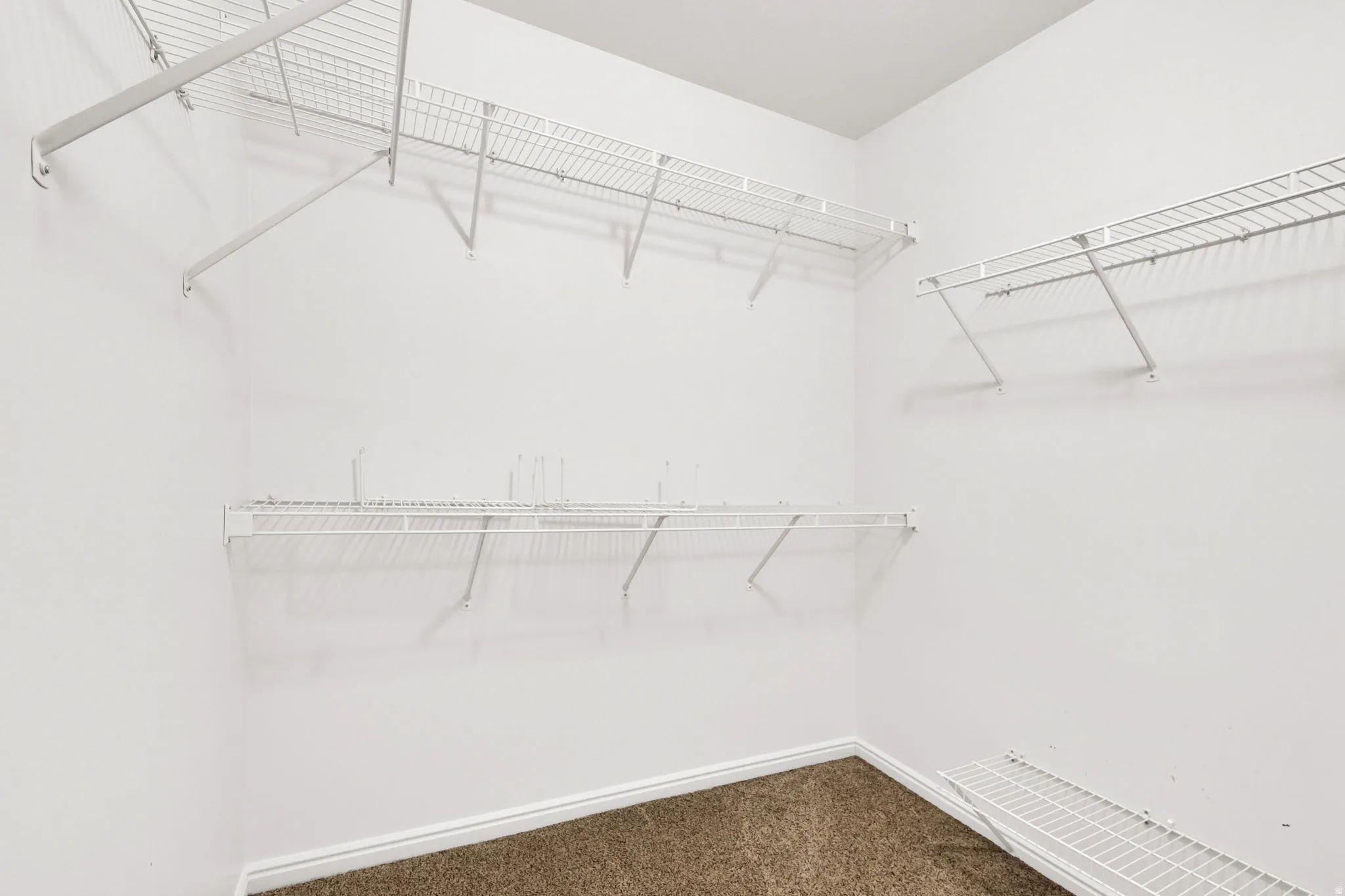 Customizable walk-in closet featuring white wire shelving units and a neutral carpet