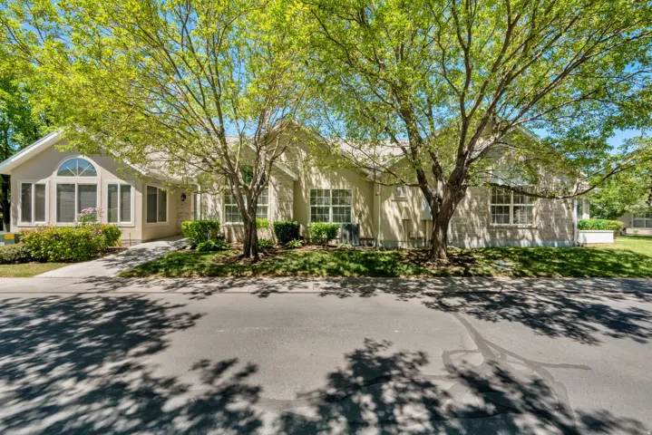 Exterior stucco and stone facade featuring a prominent arched window, multiple large windows, mature trees, and landscaped shrubbery