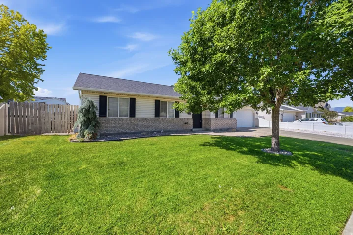 Well-maintained front lawn with mature trees and a privacy fence