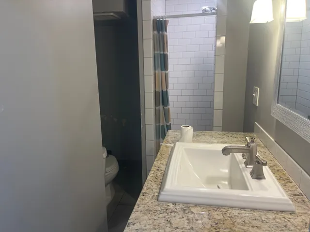 Granite-look countertop, undermount sink, dual-handle faucet, wall-mounted light fixture, subway tile shower surround