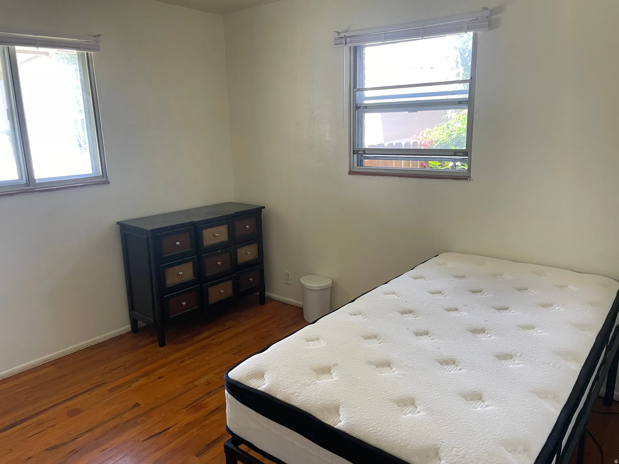 Room featuring wood-finish flooring, two large windows, and light-colored walls