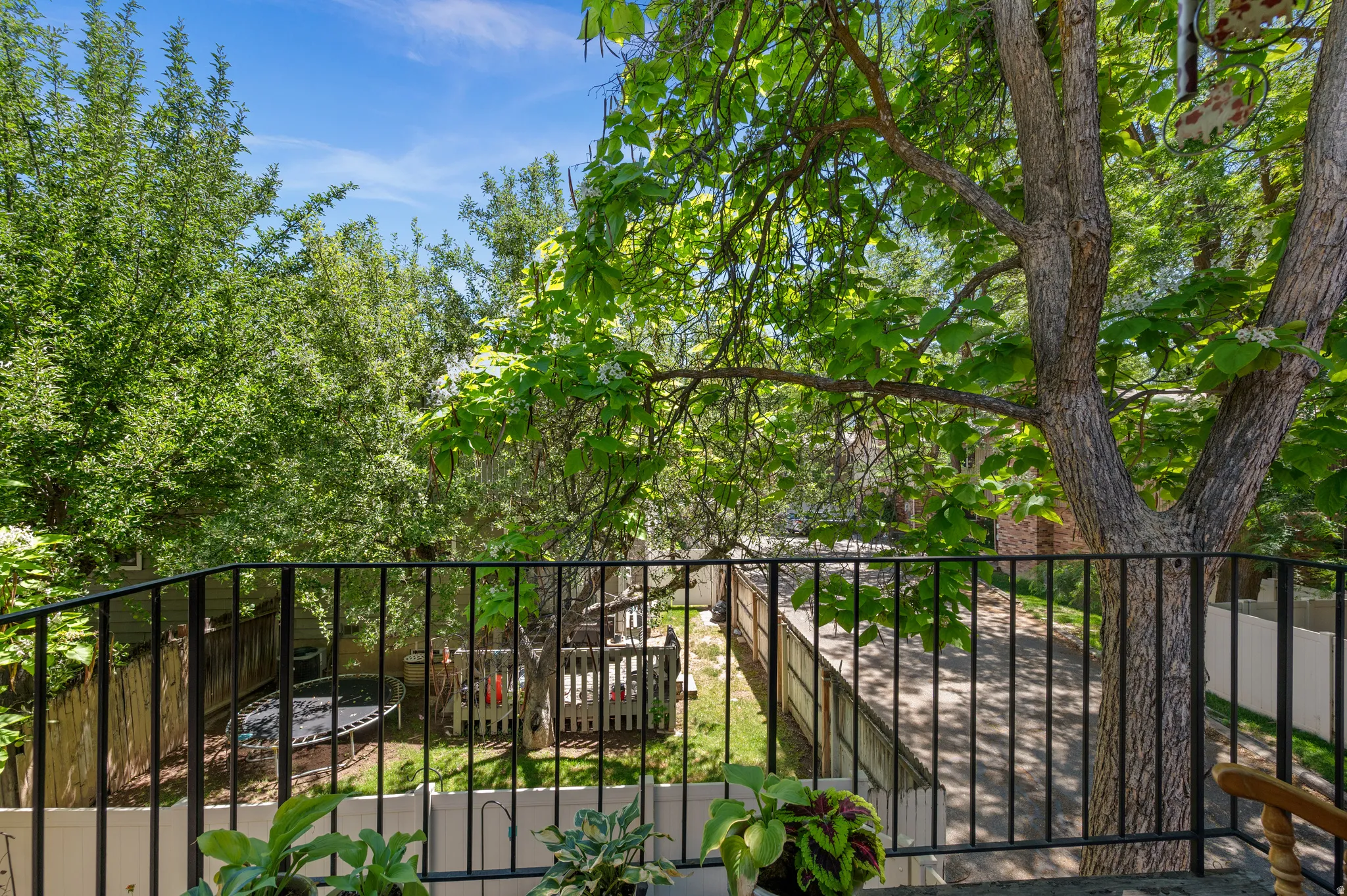 Outdoor balcony featuring black metal railings and overhead tree canopy