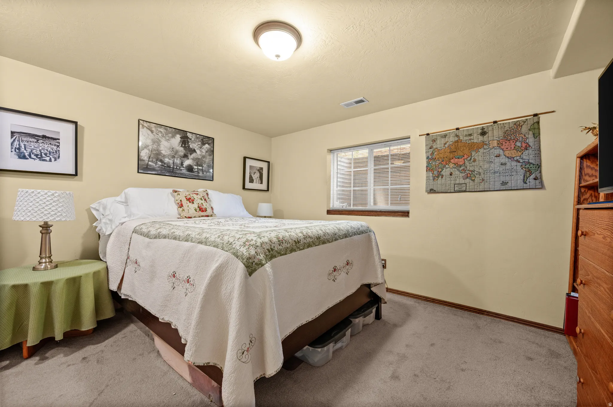 Carpeted room featuring a white-framed window, neutral painted walls, and a ceiling-mounted light fixture