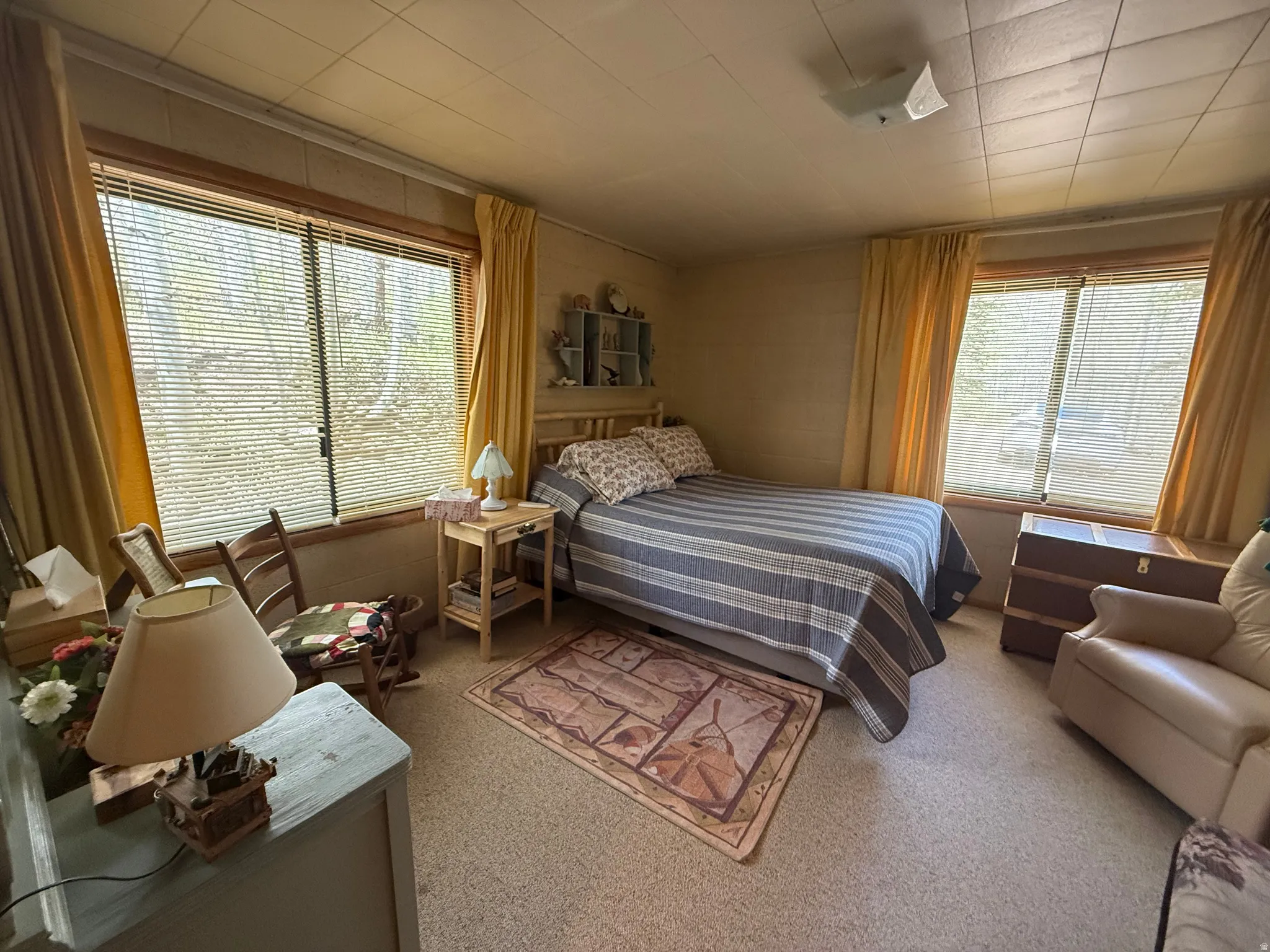 Carpeted room featuring multiple windows with blinds, a wood-frame bed, and built-in shelving
