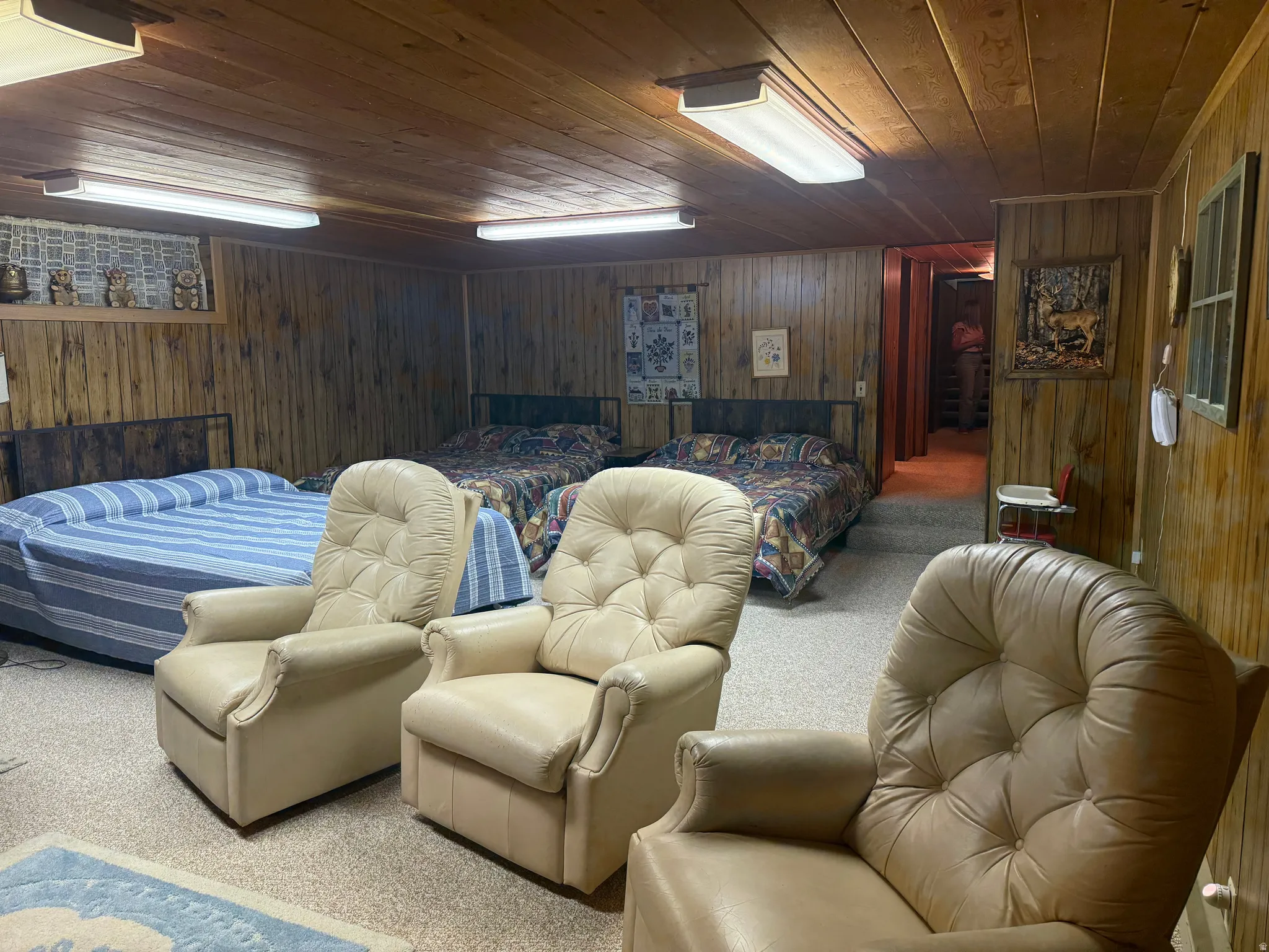 Wood-paneled room featuring recessed fluorescent lighting and textured carpet flooring