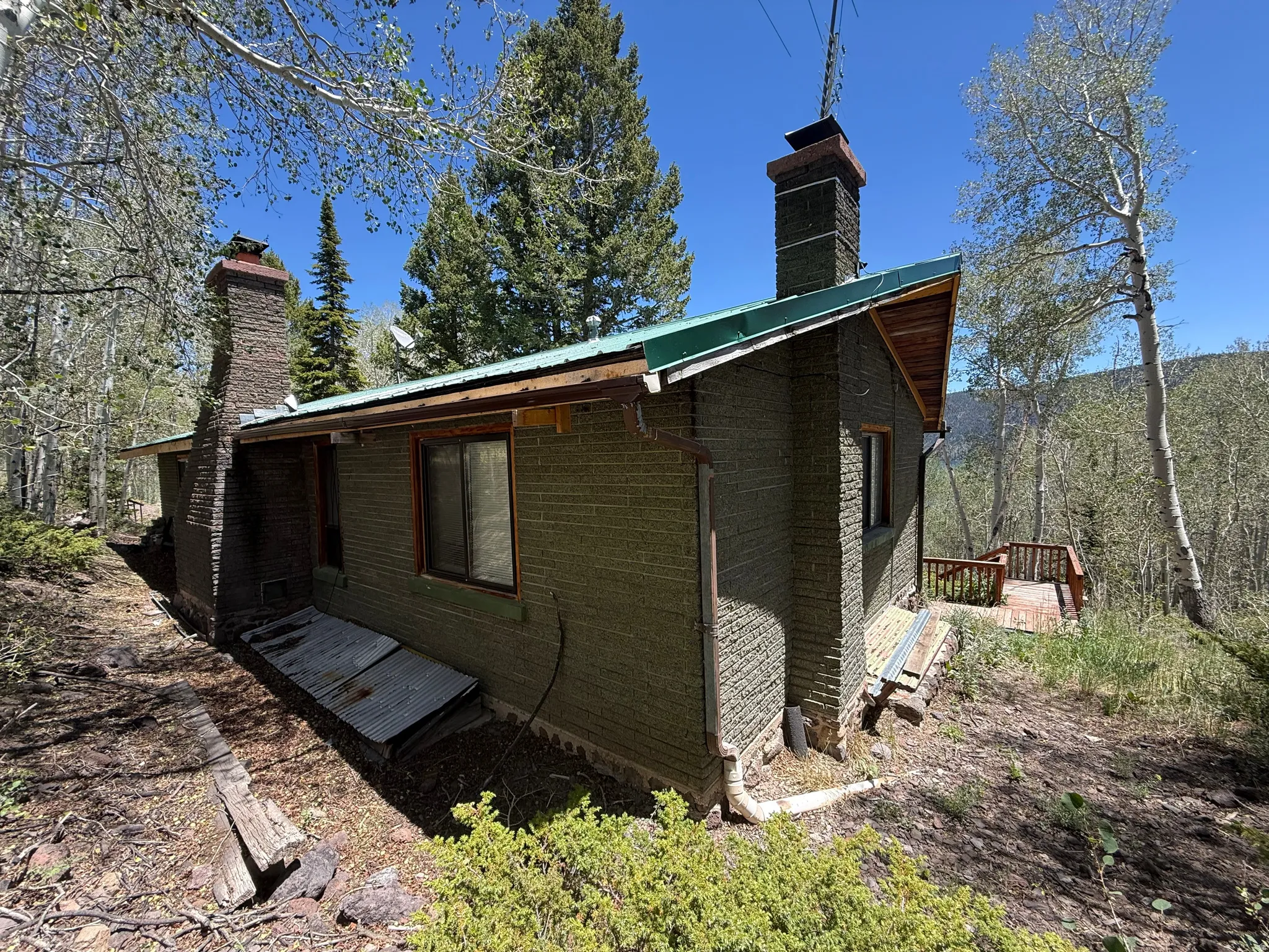 Wooded lot featuring a stone exterior, green metal roof, and two stone chimneys