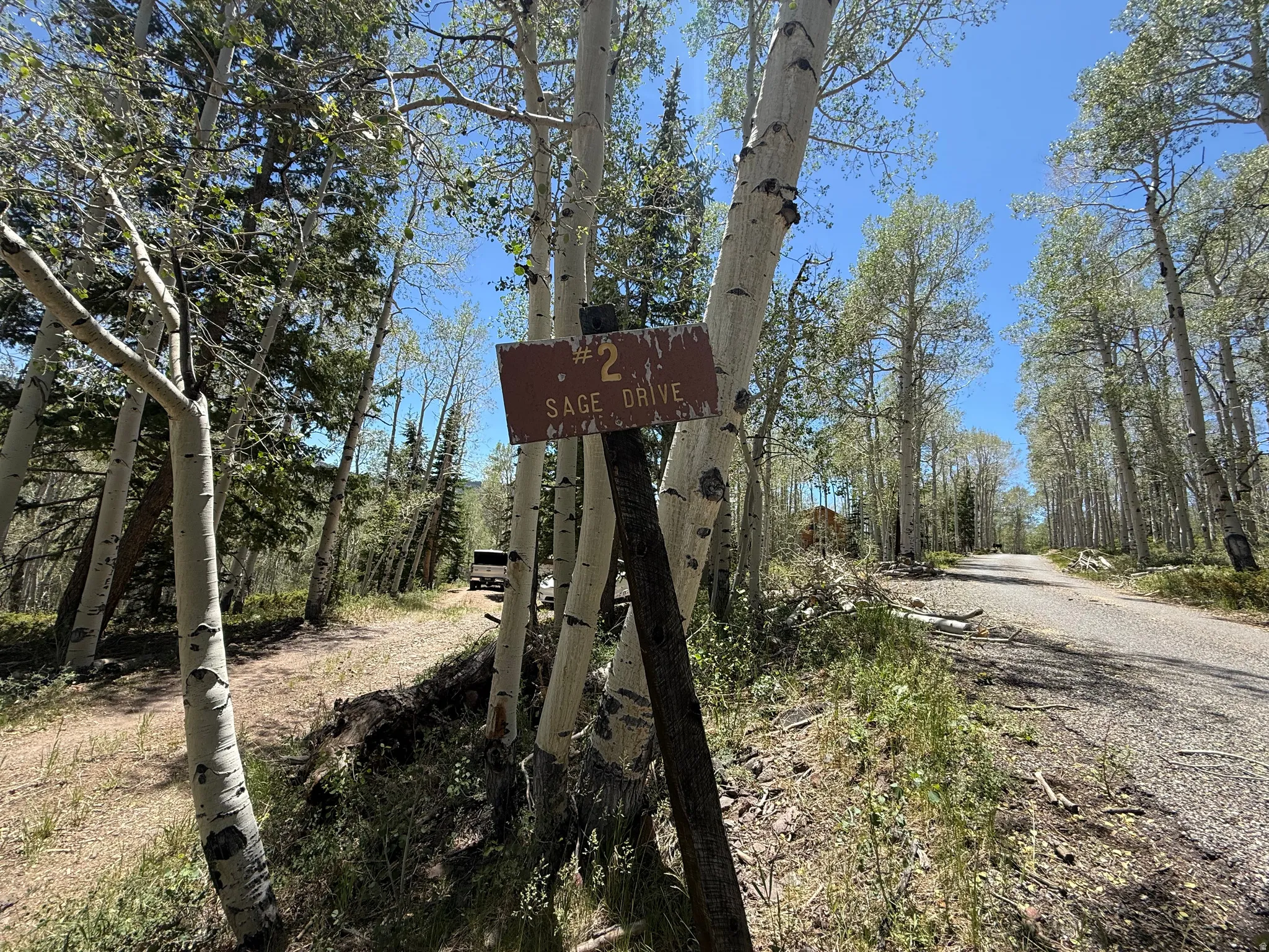 Wooded parcel with Aspen trees, mature evergreens, and a visible property sign for Sage Drive