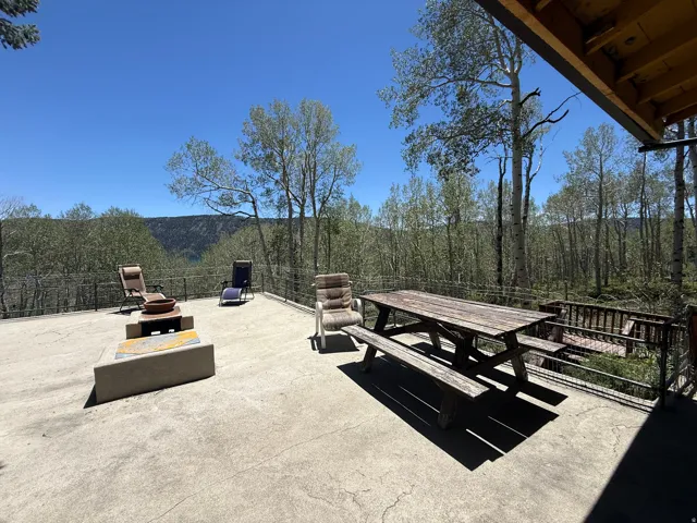 Expansive concrete patio with metal railing overlooking a wooded landscape