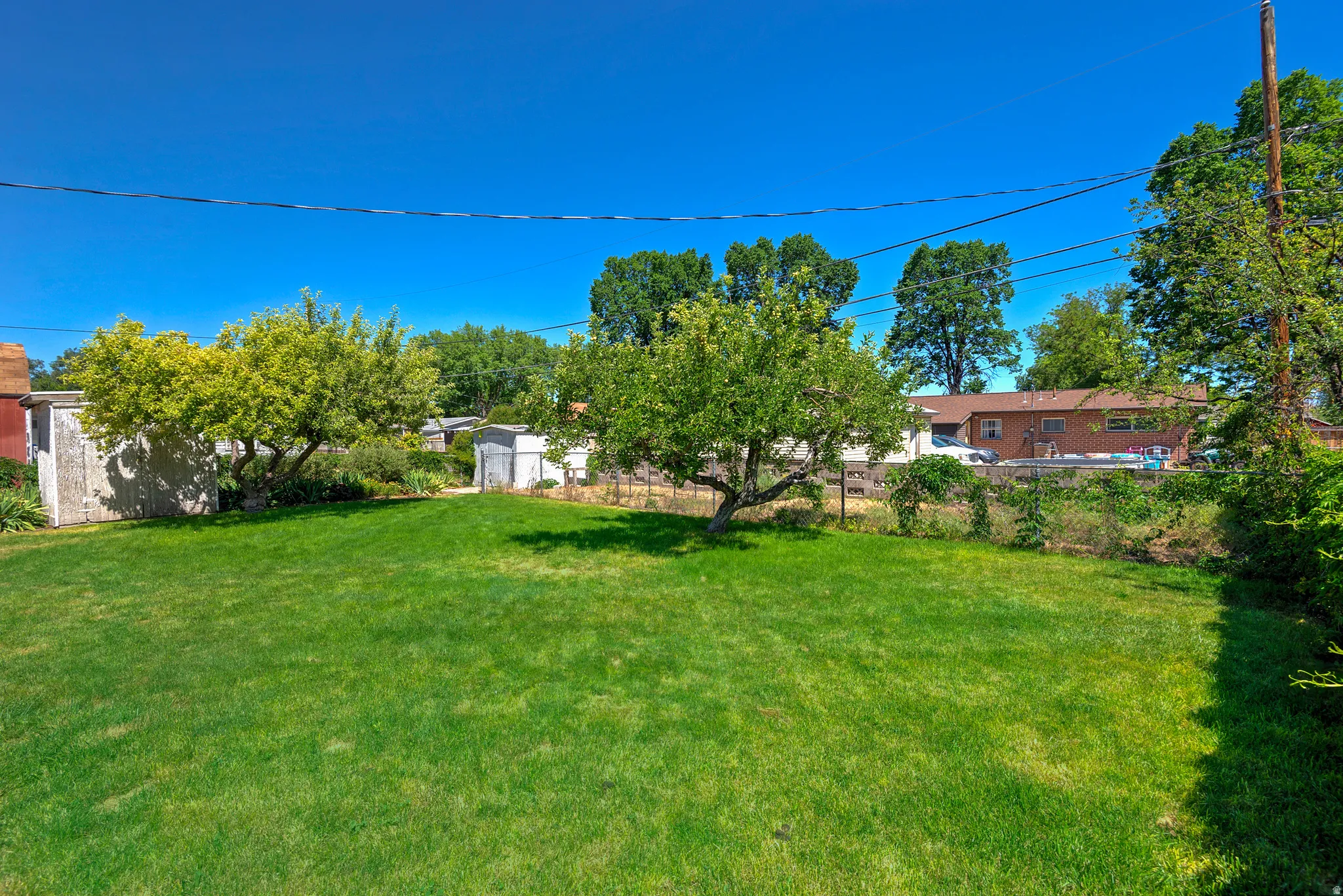 Yard