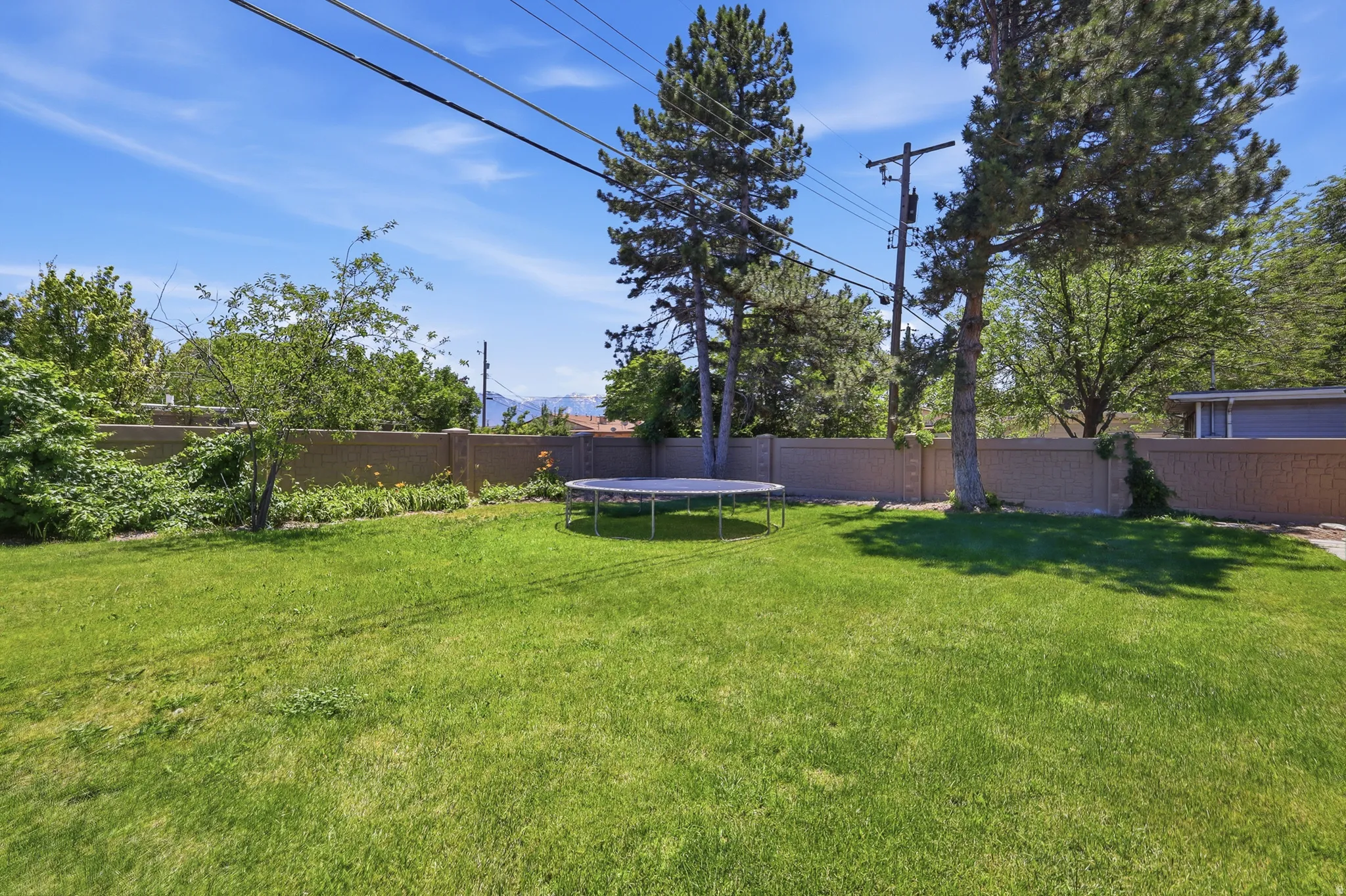 Expansive green lawn area featuring mature perimeter landscaping and a block fence