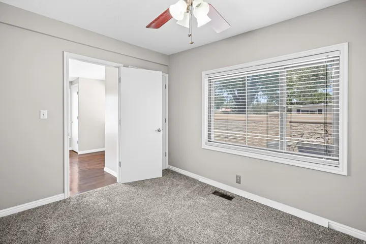 Carpeted room with a ceiling fan, a large window featuring horizontal blinds, and light gray wall paint